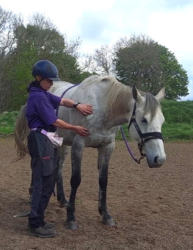 Sue doing shiatsu with a horse in an arena
