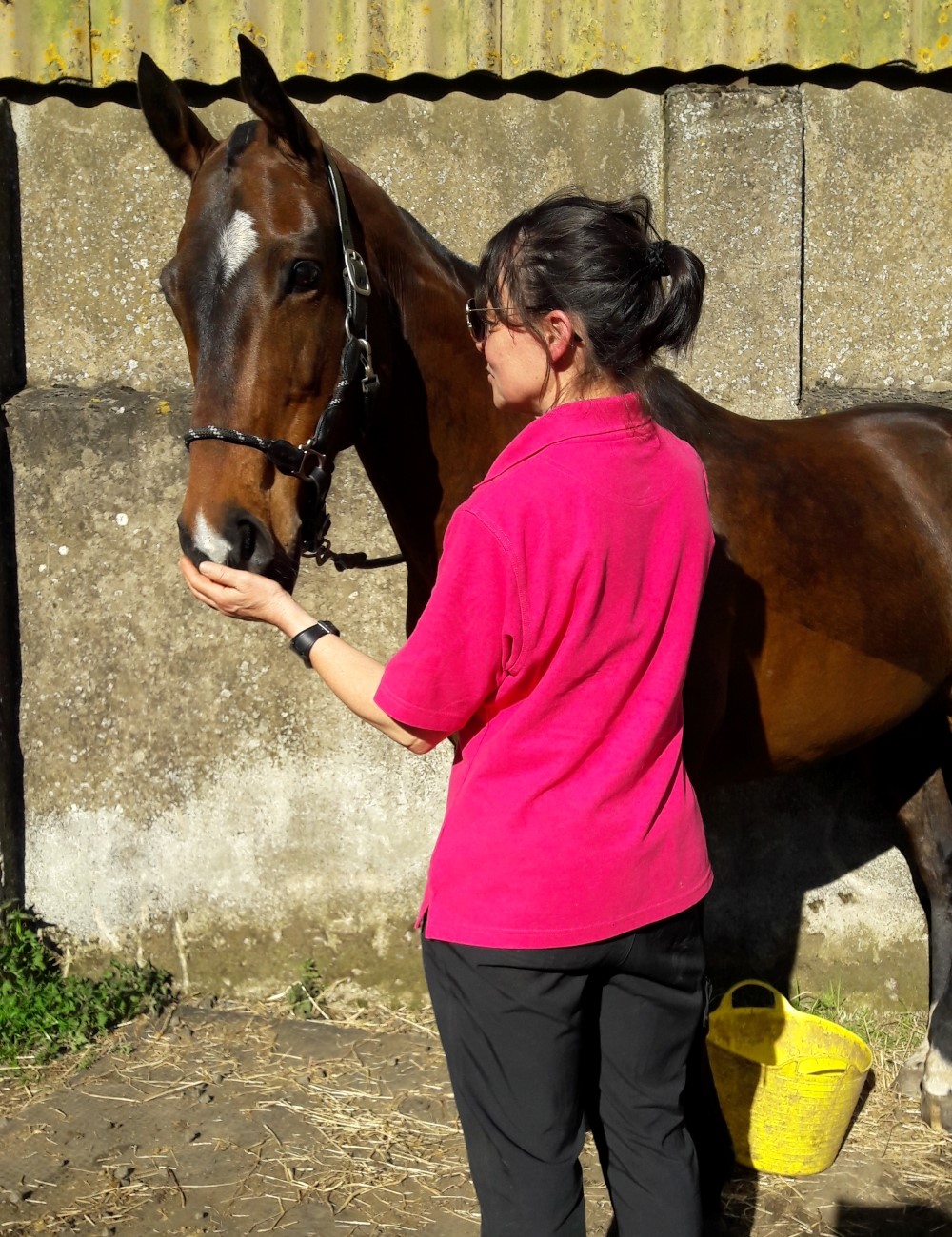 Sue working on a horse's head