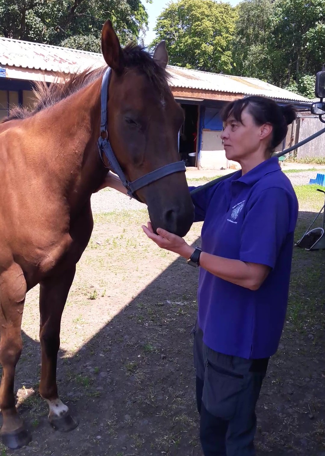 Sue greeting a chestnut client horse beside her horsebox