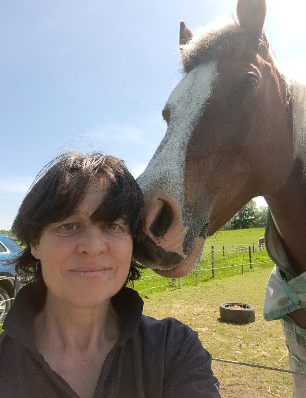 Sue's horse saying hello