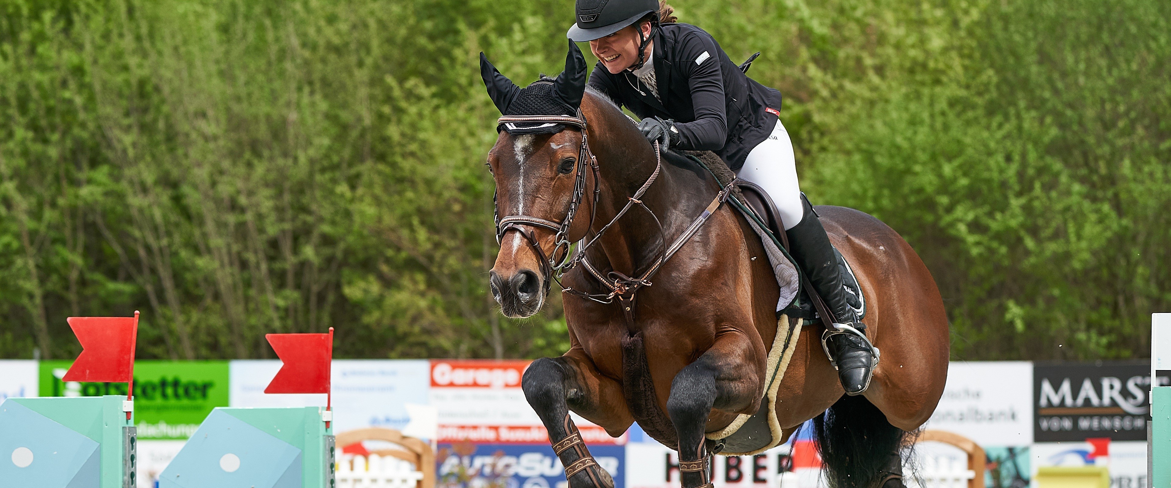 A polo horse