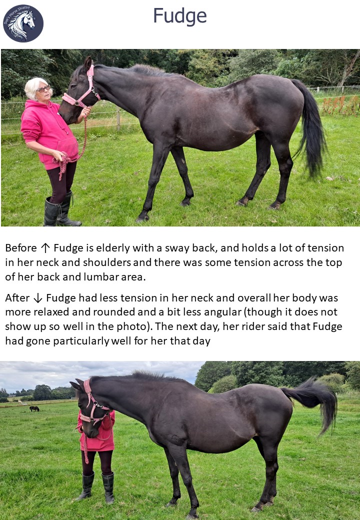 Fudge