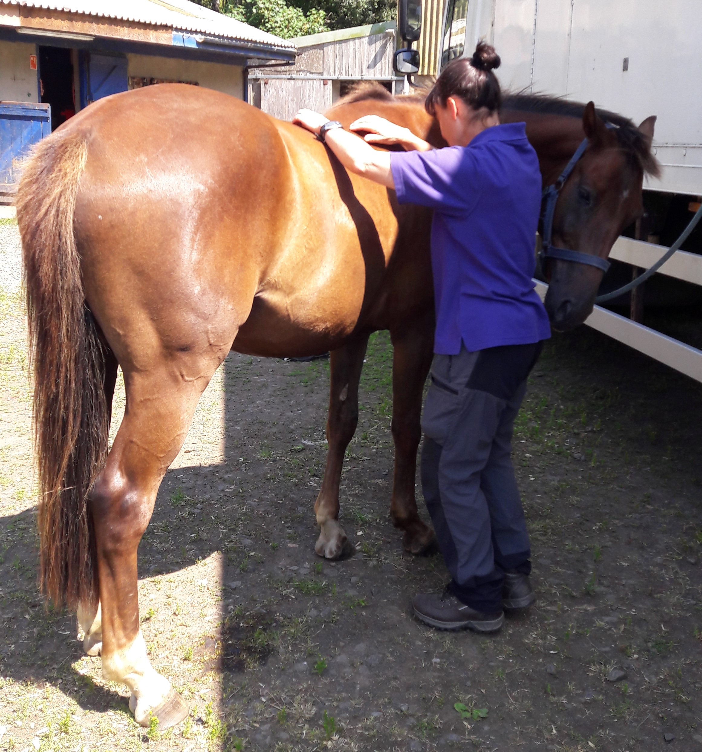 Shiatsu supporting recovery
